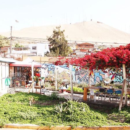 Hostel La Posada Gallo 阿里卡 外观 照片