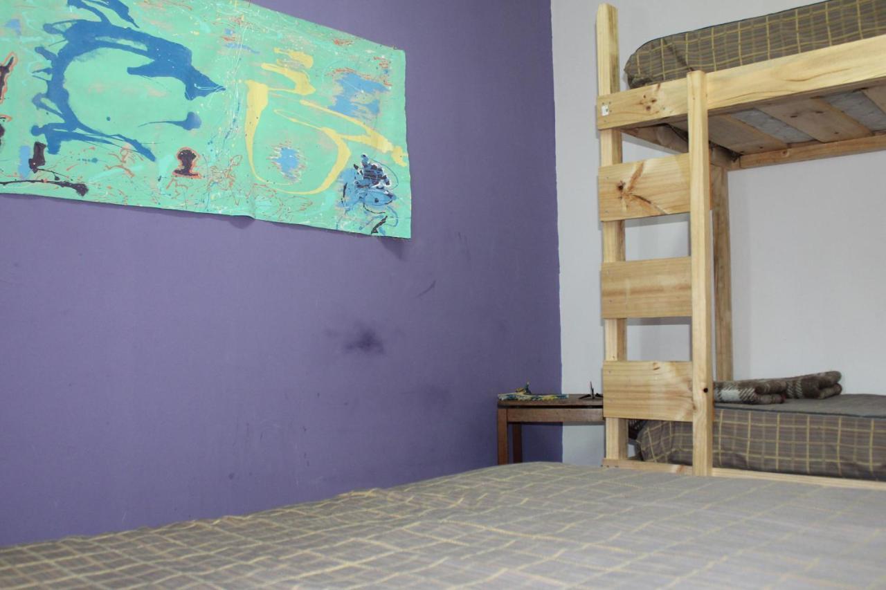 Hostel La Posada Gallo 阿里卡 外观 照片