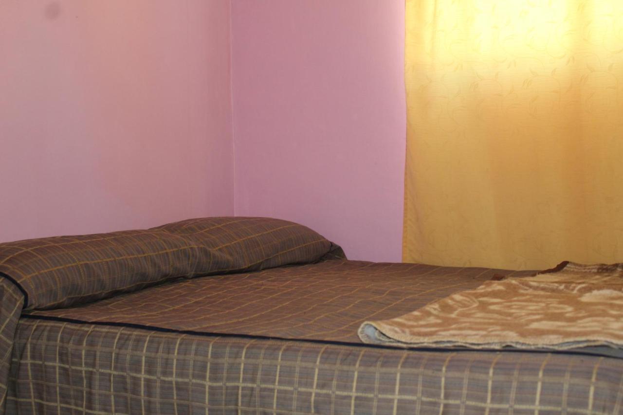 Hostel La Posada Gallo 阿里卡 外观 照片