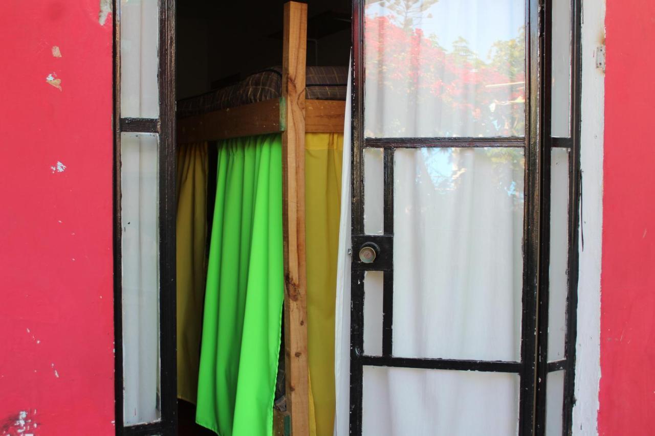 Hostel La Posada Gallo 阿里卡 外观 照片
