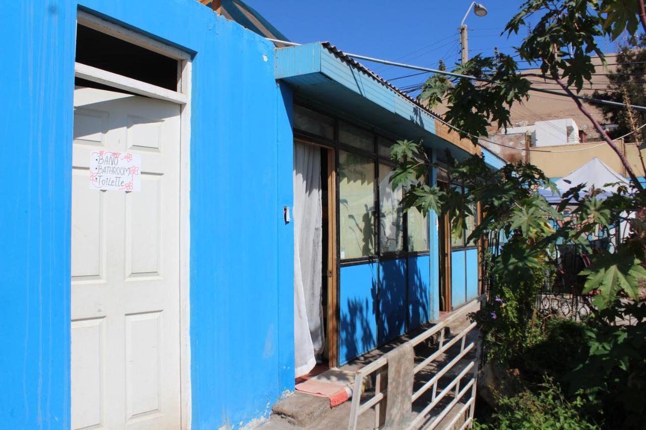 Hostel La Posada Gallo 阿里卡 外观 照片