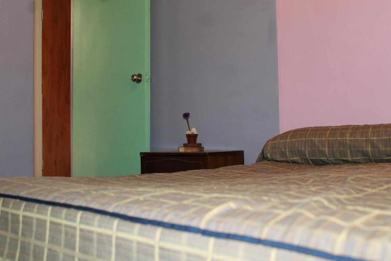 Hostel La Posada Gallo 阿里卡 外观 照片