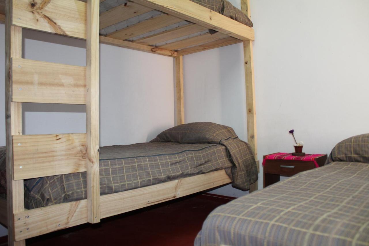 Hostel La Posada Gallo 阿里卡 外观 照片
