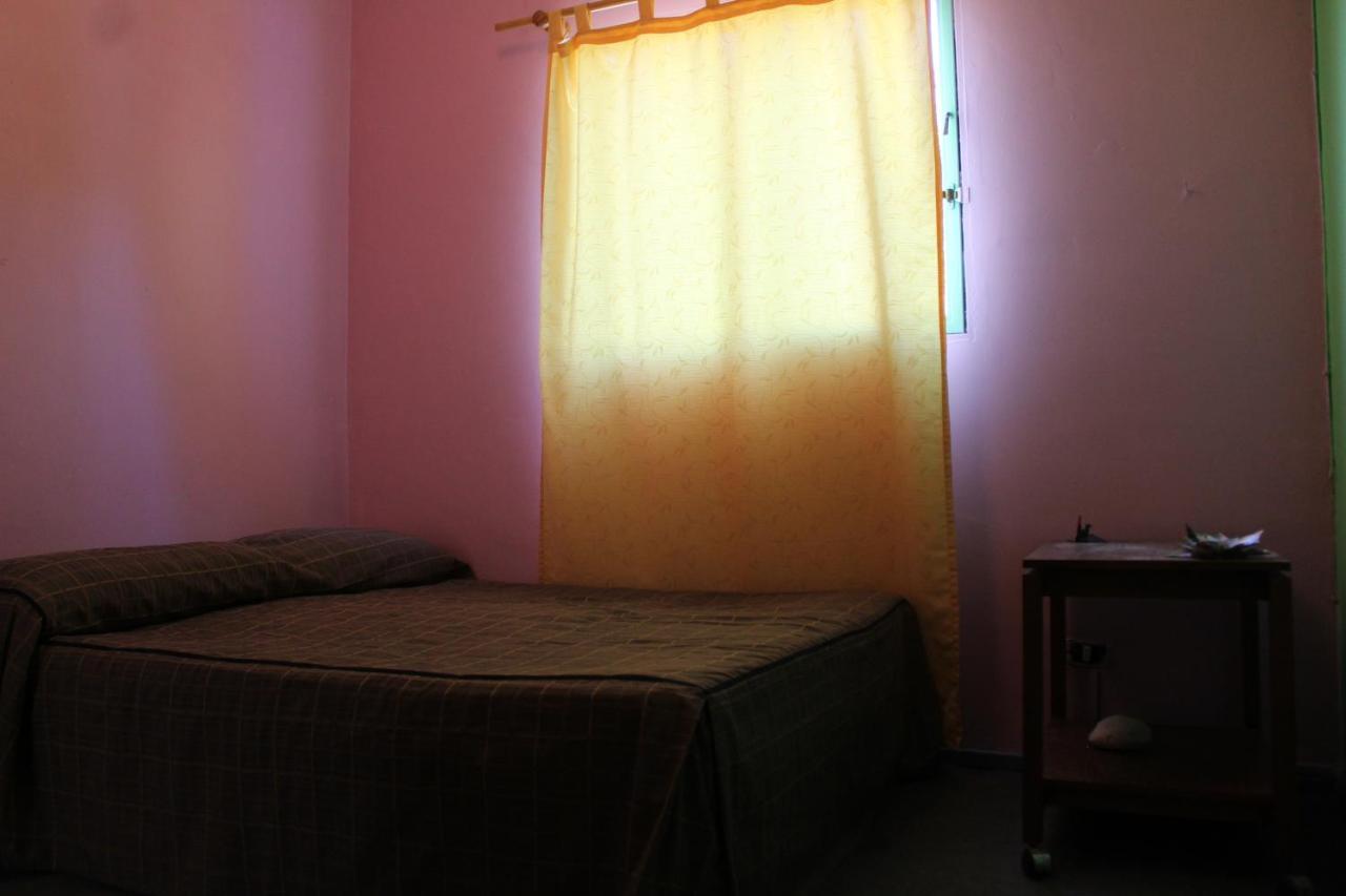 Hostel La Posada Gallo 阿里卡 外观 照片