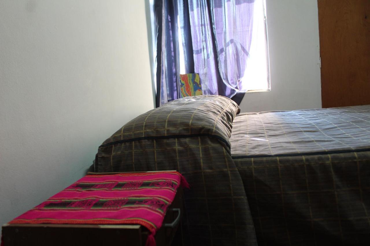 Hostel La Posada Gallo 阿里卡 外观 照片