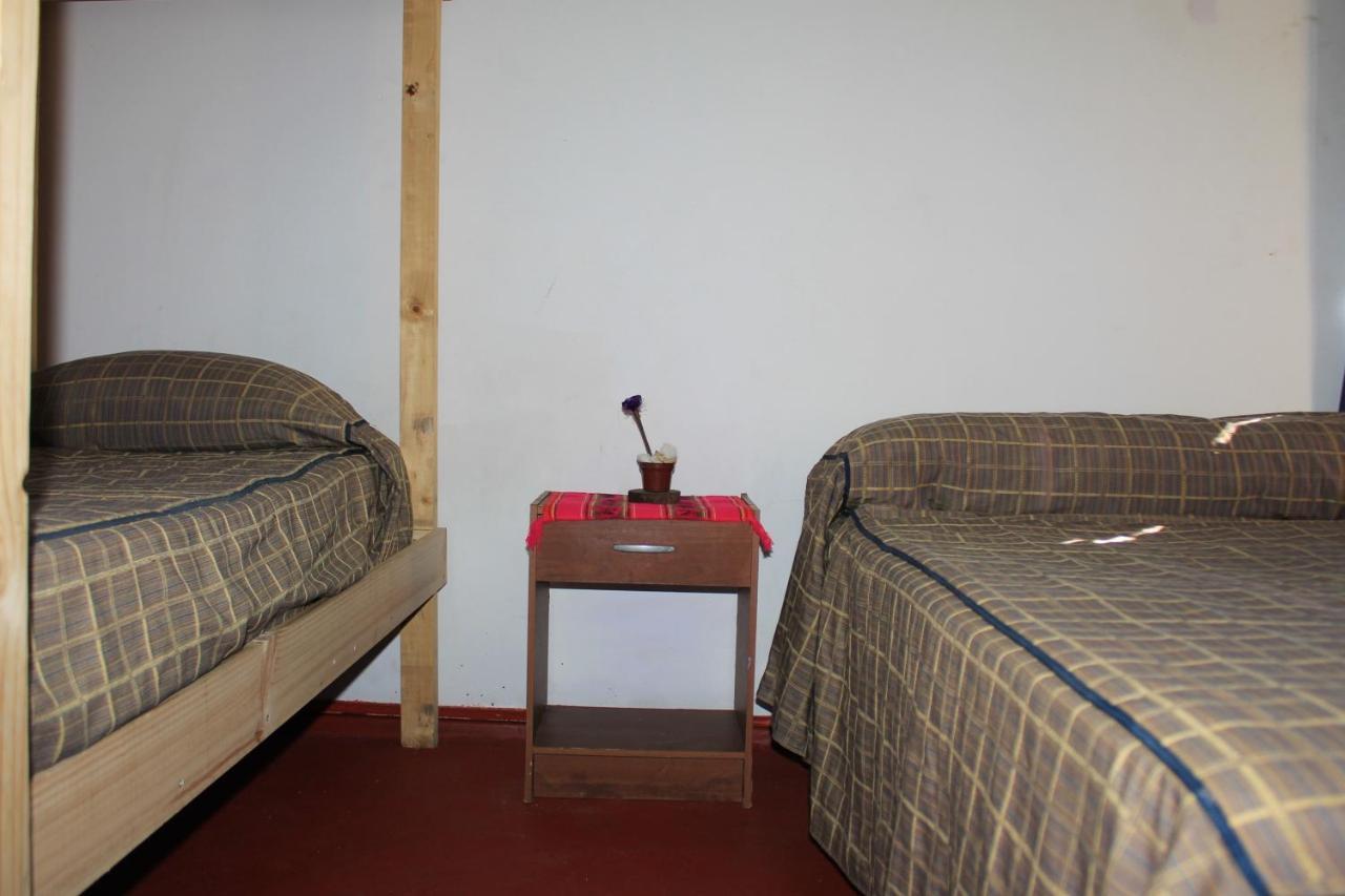 Hostel La Posada Gallo 阿里卡 外观 照片