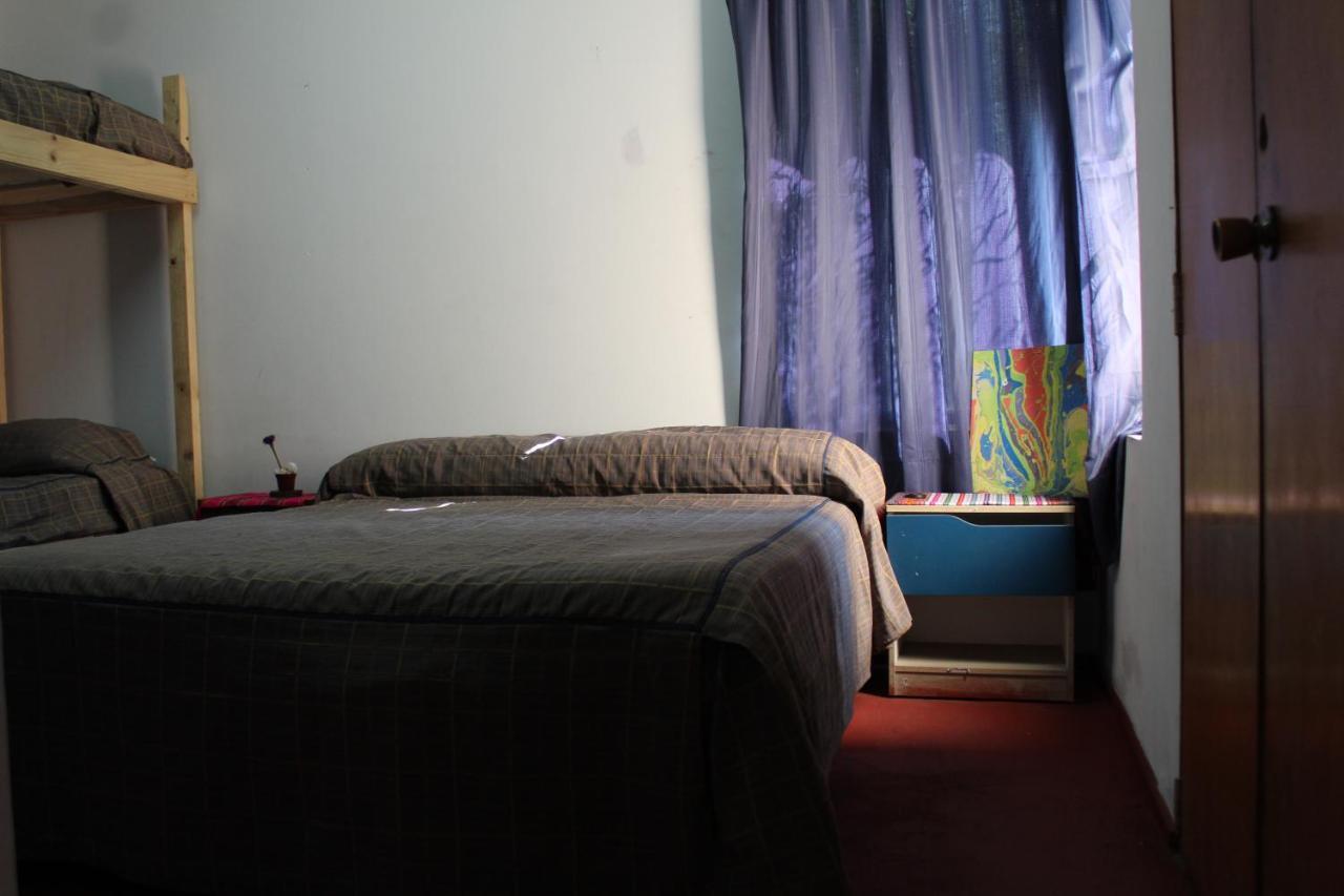 Hostel La Posada Gallo 阿里卡 外观 照片
