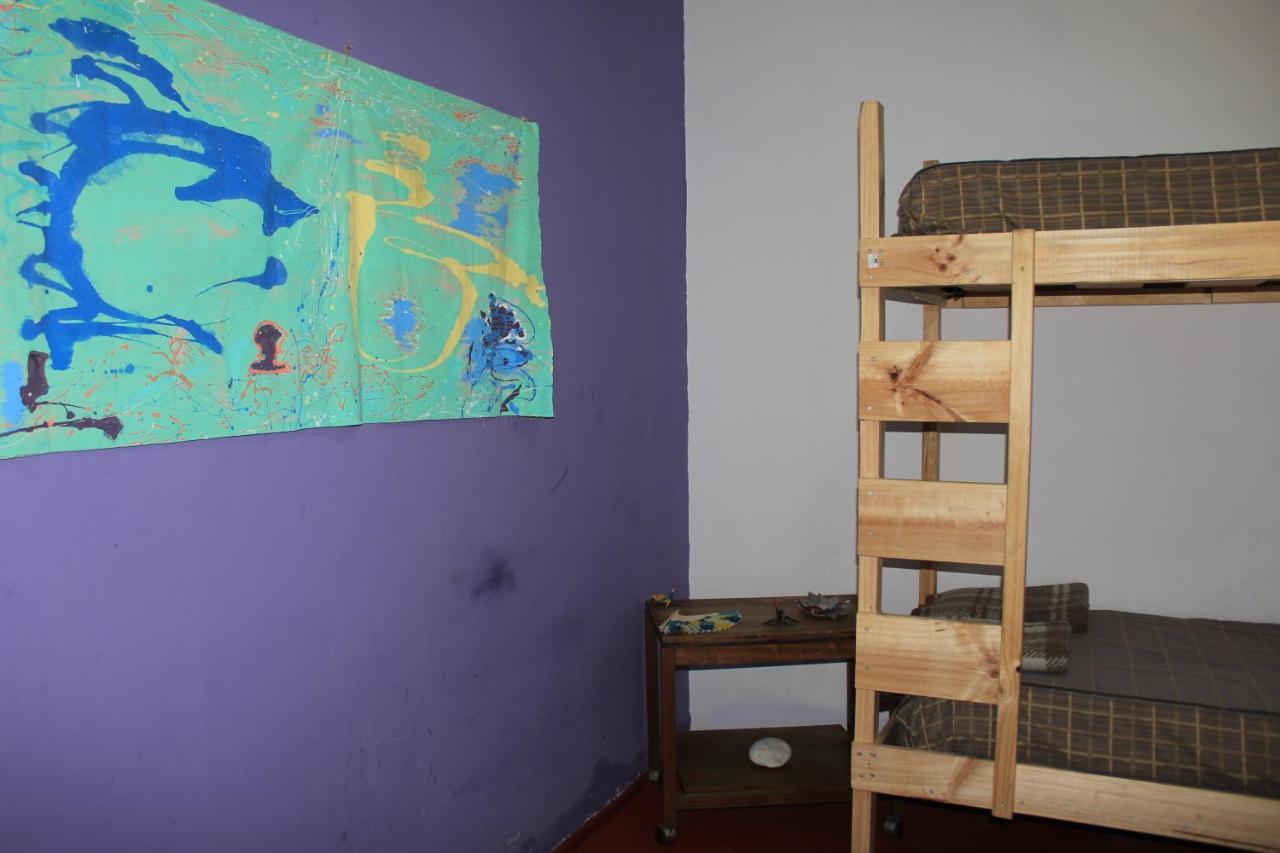 Hostel La Posada Gallo 阿里卡 外观 照片