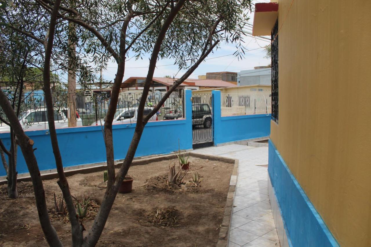 Hostel La Posada Gallo 阿里卡 外观 照片