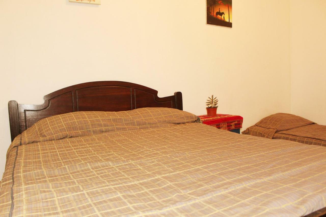 Hostel La Posada Gallo 阿里卡 外观 照片