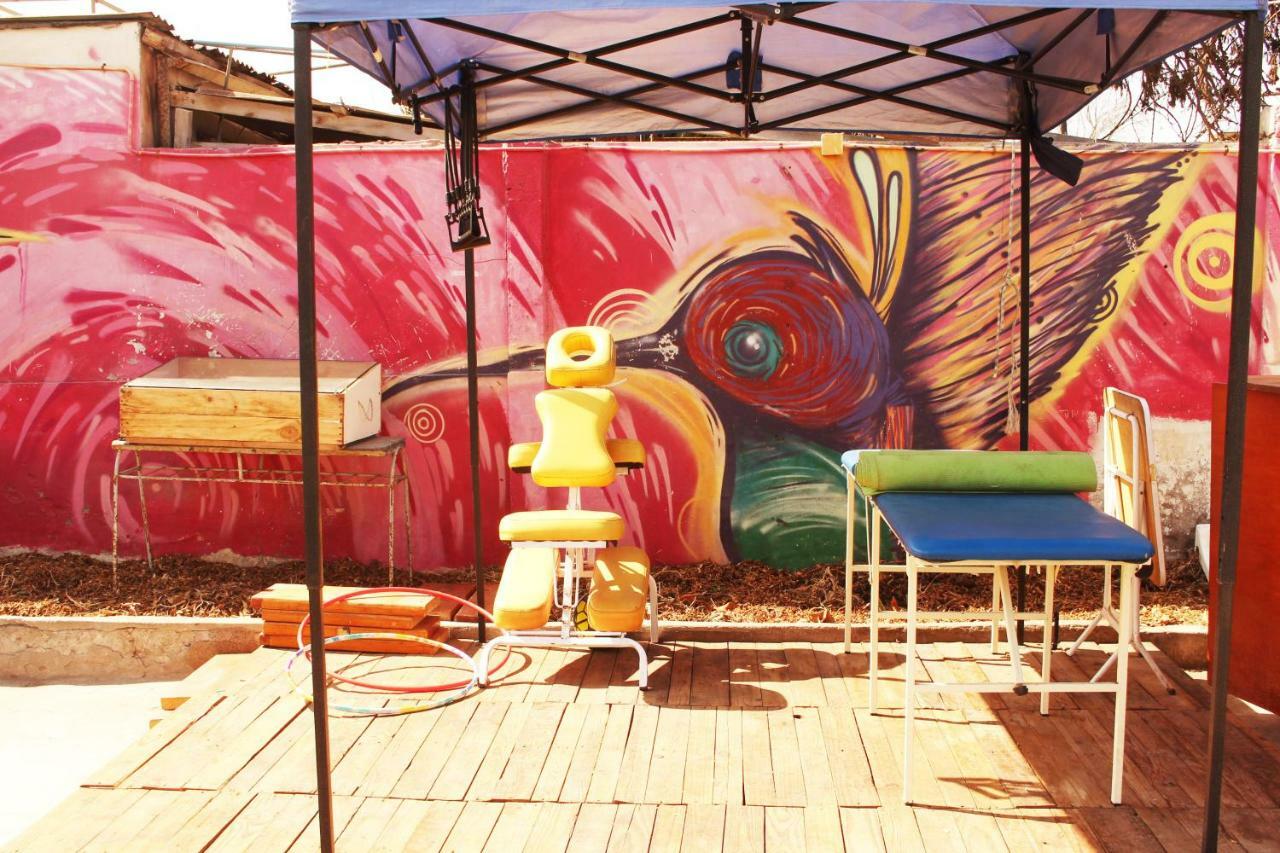 Hostel La Posada Gallo 阿里卡 外观 照片