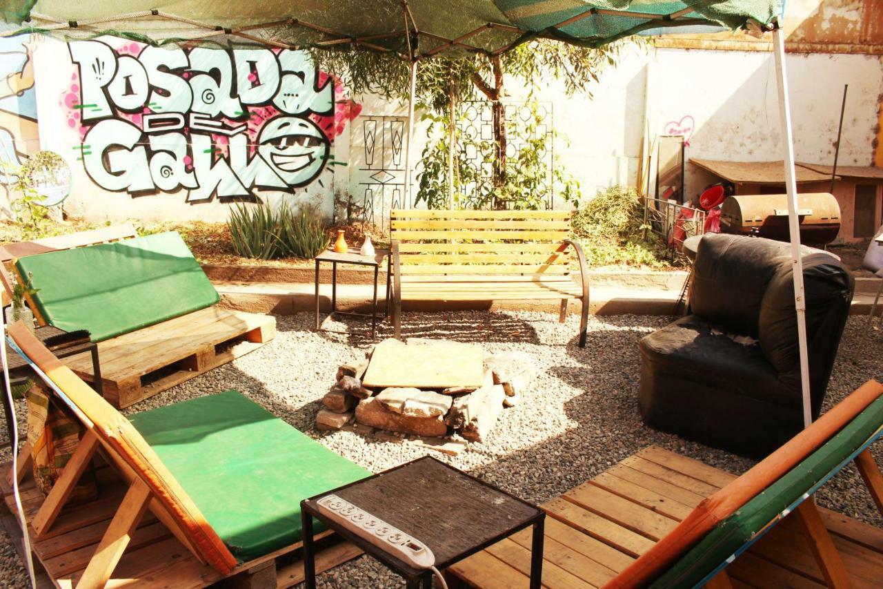 Hostel La Posada Gallo 阿里卡 外观 照片