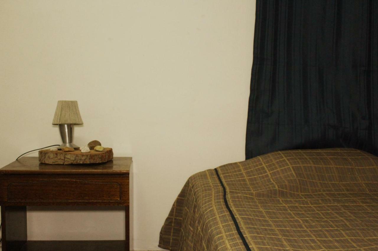 Hostel La Posada Gallo 阿里卡 外观 照片