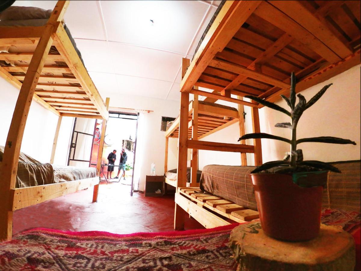 Hostel La Posada Gallo 阿里卡 外观 照片